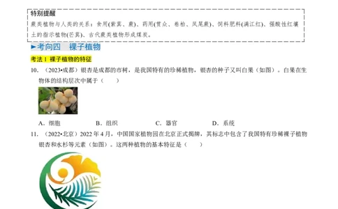 专题07生物圈中有哪些绿色植物（原卷版）_02中考总复习（2026版更新中）_08-生物-中考总复习_2024年中考复习资料_专项复习_备战2024年中考生物真题题源解密