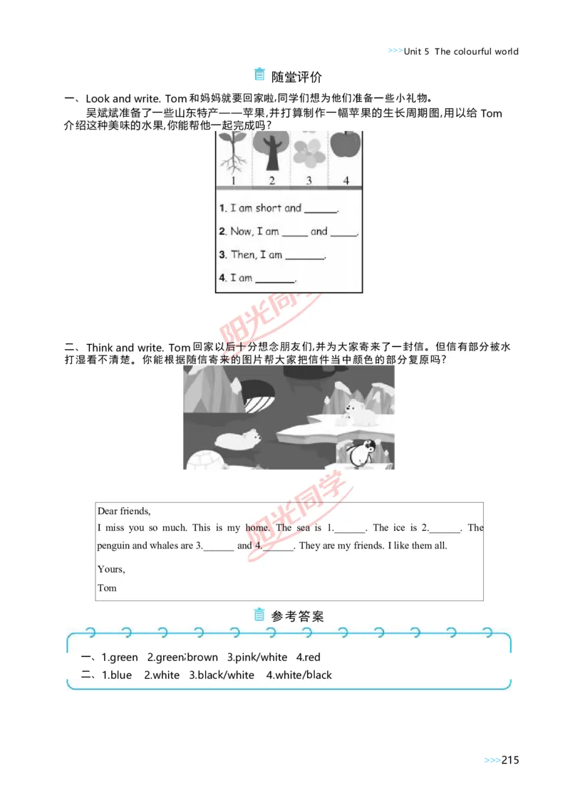 教案正文3上_Unit5_26春四年级上下册人教版_四上英语合集人教版PEP英语四年级上册新教材（教学视频+课件+动画+音频+练习+教案）_19同步教案课件_人教pep3_3-6上册