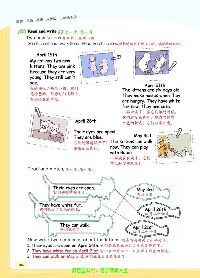 英语5B_26春四年级上下册人教版_四上英语合集人教版PEP英语四年级上册新教材（教学视频+课件+动画+音频+练习+教案）_17练习资料_小学英语（预习复习资料大礼包）_《教材一点通》