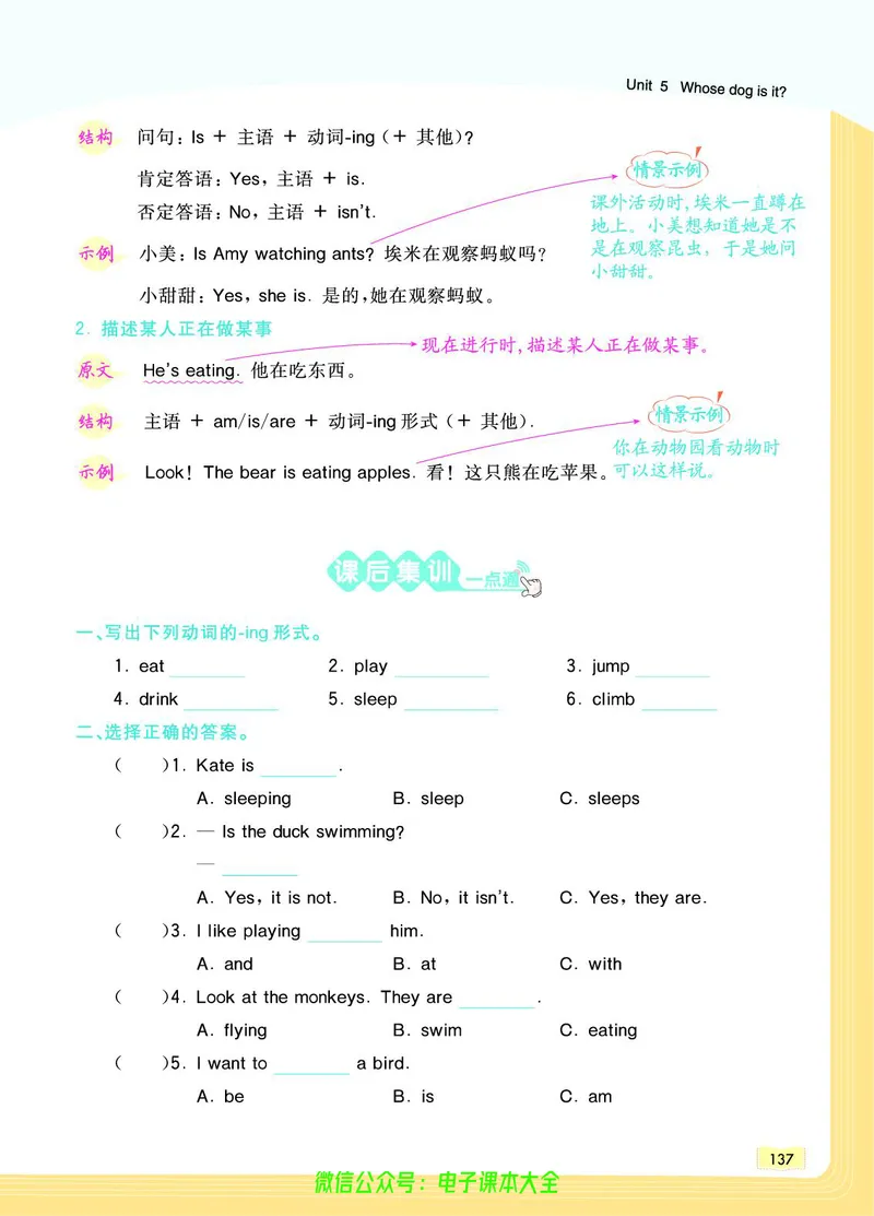 英语5B_26春四年级上下册人教版_四上英语合集人教版PEP英语四年级上册新教材（教学视频+课件+动画+音频+练习+教案）_17练习资料_小学英语（预习复习资料大礼包）_《教材一点通》