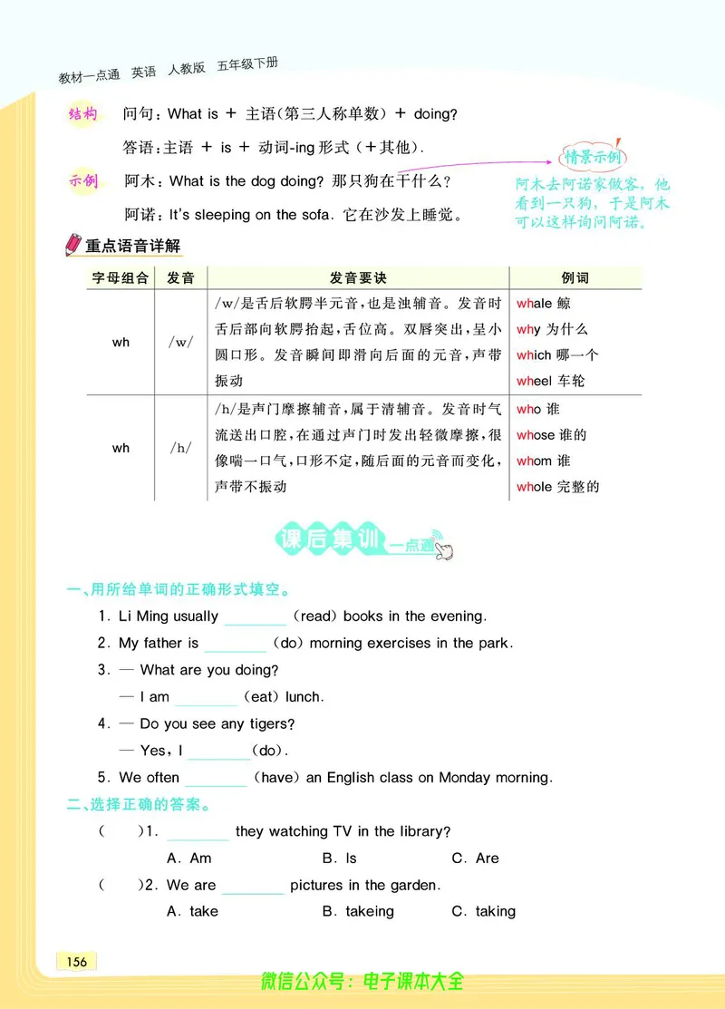 英语5B_26春四年级上下册人教版_四上英语合集人教版PEP英语四年级上册新教材（教学视频+课件+动画+音频+练习+教案）_17练习资料_小学英语（预习复习资料大礼包）_《教材一点通》