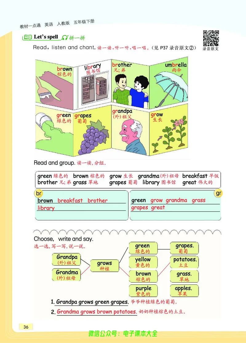 英语5B_26春四年级上下册人教版_四上英语合集人教版PEP英语四年级上册新教材（教学视频+课件+动画+音频+练习+教案）_17练习资料_小学英语（预习复习资料大礼包）_《教材一点通》