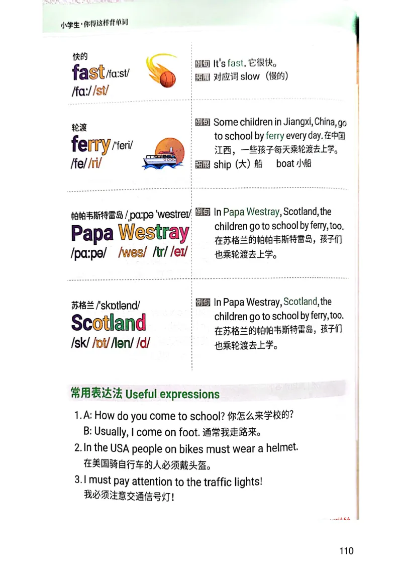 斗半匠-小学生你得这样背单词_26春四年级上下册人教版_四上英语合集人教版PEP英语四年级上册新教材（教学视频+课件+动画+音频+练习+教案）_17练习资料_《小学英语一本通》