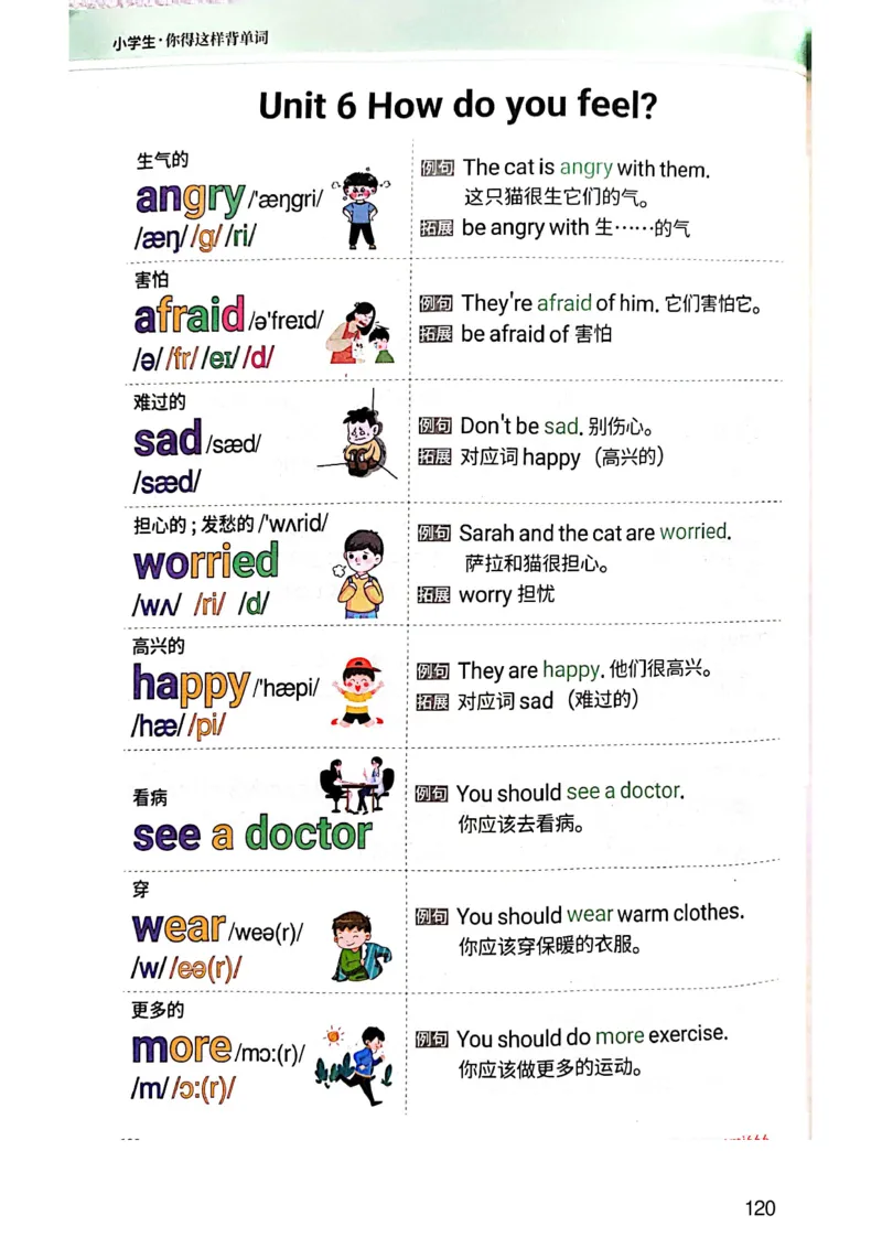 斗半匠-小学生你得这样背单词_26春四年级上下册人教版_四上英语合集人教版PEP英语四年级上册新教材（教学视频+课件+动画+音频+练习+教案）_17练习资料_《小学英语一本通》