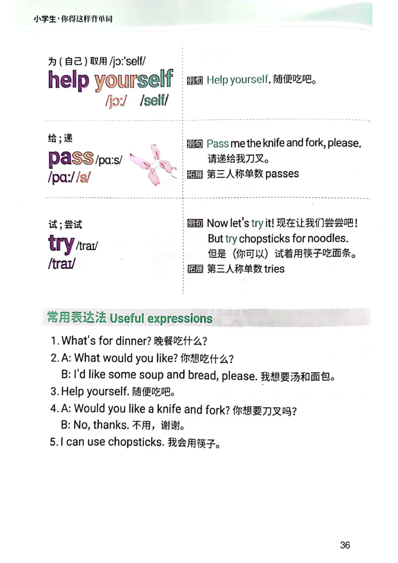 斗半匠-小学生你得这样背单词_26春四年级上下册人教版_四上英语合集人教版PEP英语四年级上册新教材（教学视频+课件+动画+音频+练习+教案）_17练习资料_《小学英语一本通》