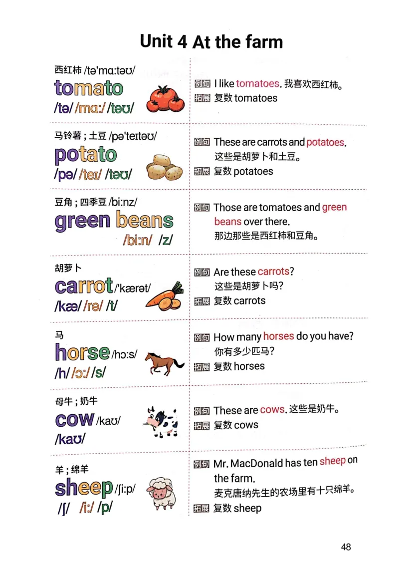 斗半匠-小学生你得这样背单词_26春四年级上下册人教版_四上英语合集人教版PEP英语四年级上册新教材（教学视频+课件+动画+音频+练习+教案）_17练习资料_《小学英语一本通》