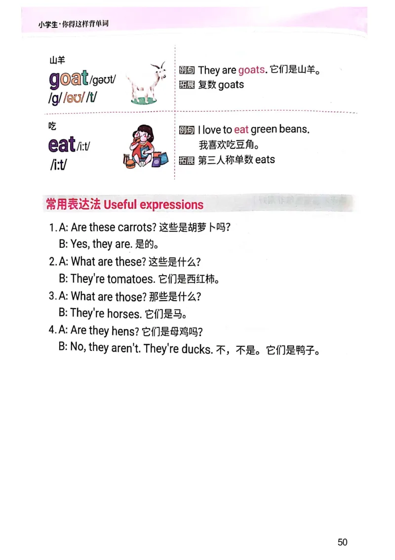 斗半匠-小学生你得这样背单词_26春四年级上下册人教版_四上英语合集人教版PEP英语四年级上册新教材（教学视频+课件+动画+音频+练习+教案）_17练习资料_《小学英语一本通》