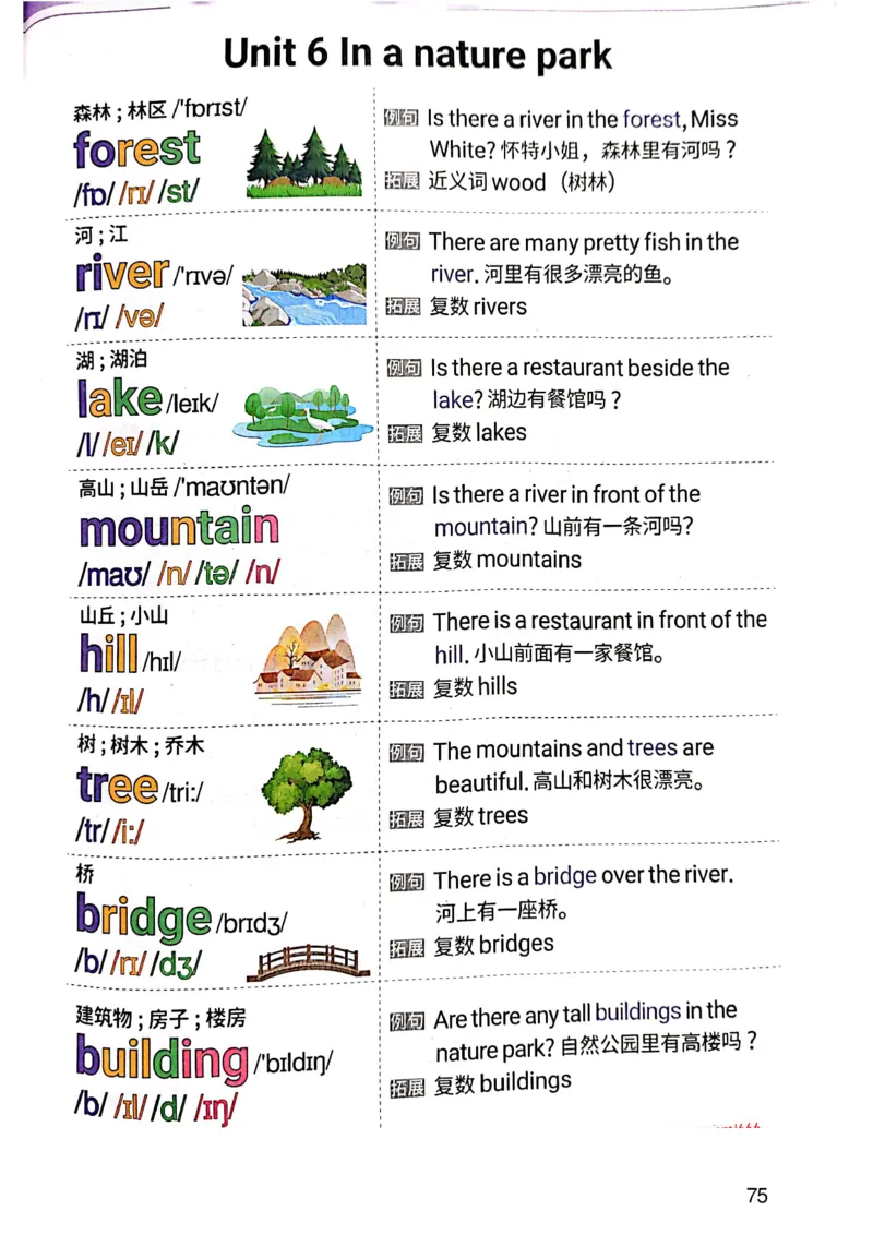 斗半匠-小学生你得这样背单词_26春四年级上下册人教版_四上英语合集人教版PEP英语四年级上册新教材（教学视频+课件+动画+音频+练习+教案）_17练习资料_《小学英语一本通》