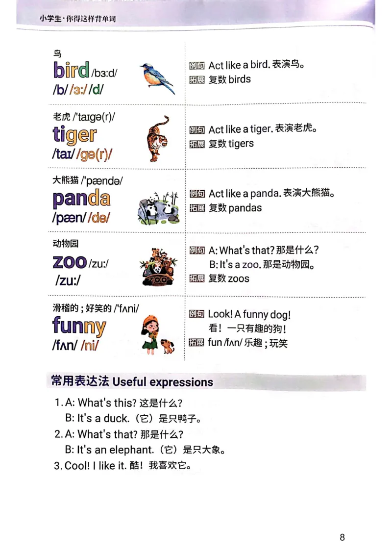 斗半匠-小学生你得这样背单词_26春四年级上下册人教版_四上英语合集人教版PEP英语四年级上册新教材（教学视频+课件+动画+音频+练习+教案）_17练习资料_《小学英语一本通》