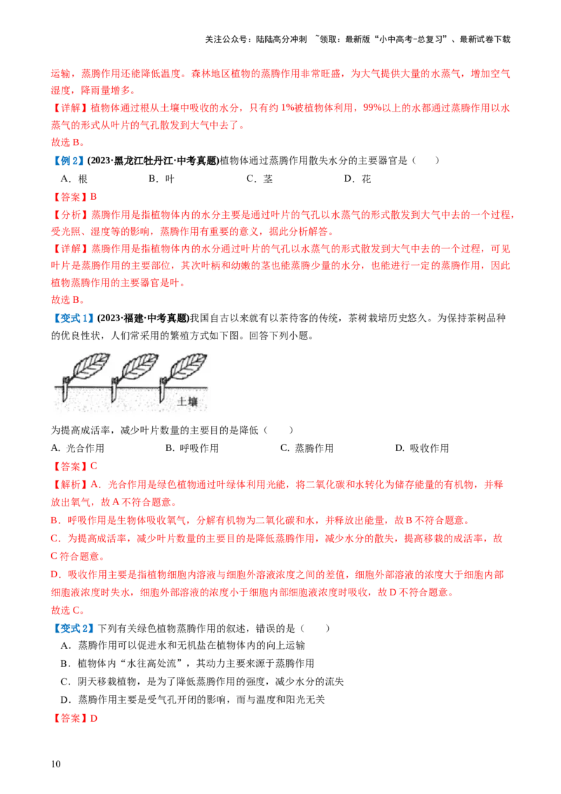 专题06绿色植物与生物圈的水循环（讲义）（解析版）_02中考总复习（2026版更新中）_08-生物-中考总复习_2024年中考复习资料_一轮复习_❤2024年中考生物一轮复习讲练测（全国通用）_讲义