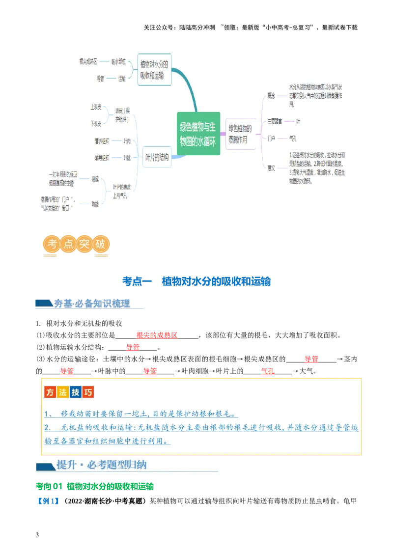 专题06绿色植物与生物圈的水循环（讲义）（解析版）_02中考总复习（2026版更新中）_08-生物-中考总复习_2024年中考复习资料_一轮复习_❤2024年中考生物一轮复习讲练测（全国通用）_讲义