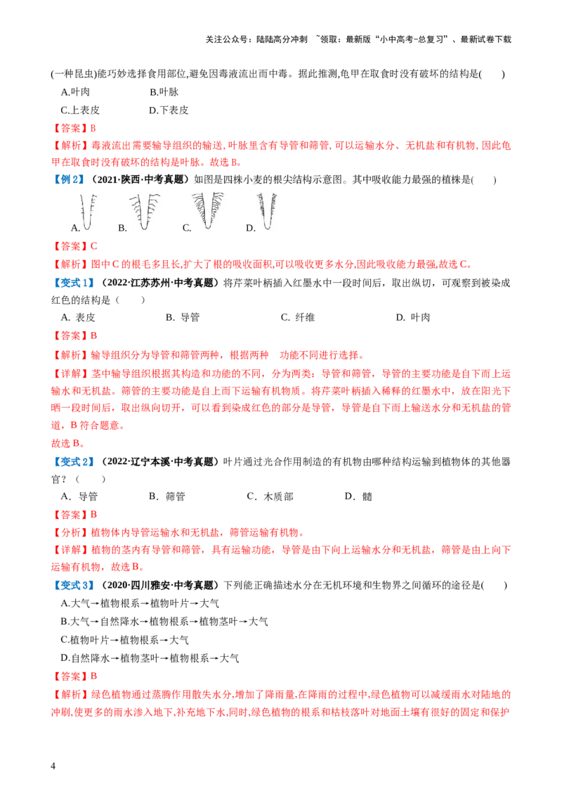 专题06绿色植物与生物圈的水循环（讲义）（解析版）_02中考总复习（2026版更新中）_08-生物-中考总复习_2024年中考复习资料_一轮复习_❤2024年中考生物一轮复习讲练测（全国通用）_讲义