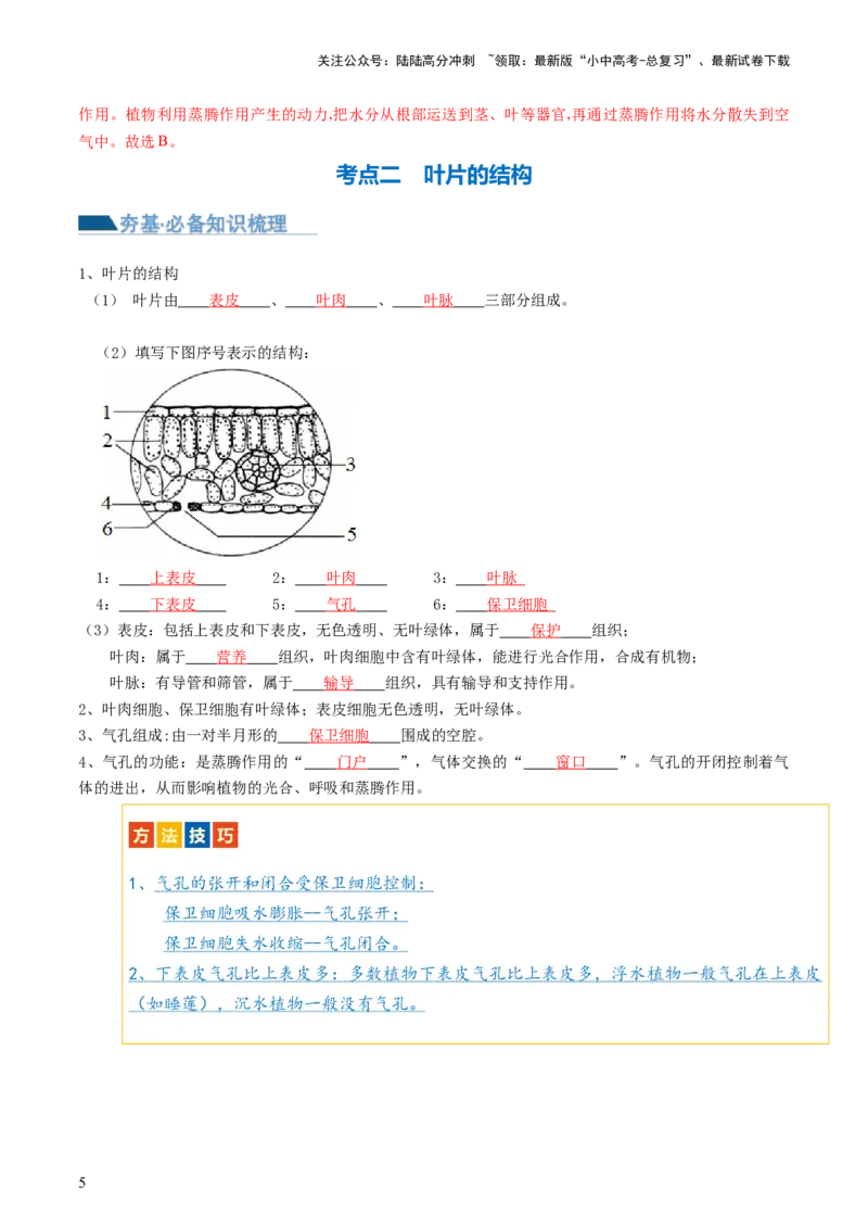 专题06绿色植物与生物圈的水循环（讲义）（解析版）_02中考总复习（2026版更新中）_08-生物-中考总复习_2024年中考复习资料_一轮复习_❤2024年中考生物一轮复习讲练测（全国通用）_讲义