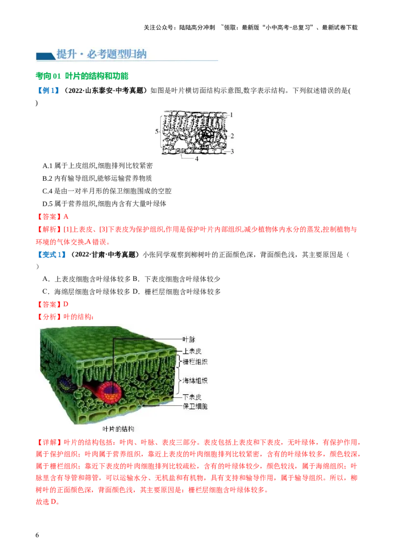 专题06绿色植物与生物圈的水循环（讲义）（解析版）_02中考总复习（2026版更新中）_08-生物-中考总复习_2024年中考复习资料_一轮复习_❤2024年中考生物一轮复习讲练测（全国通用）_讲义