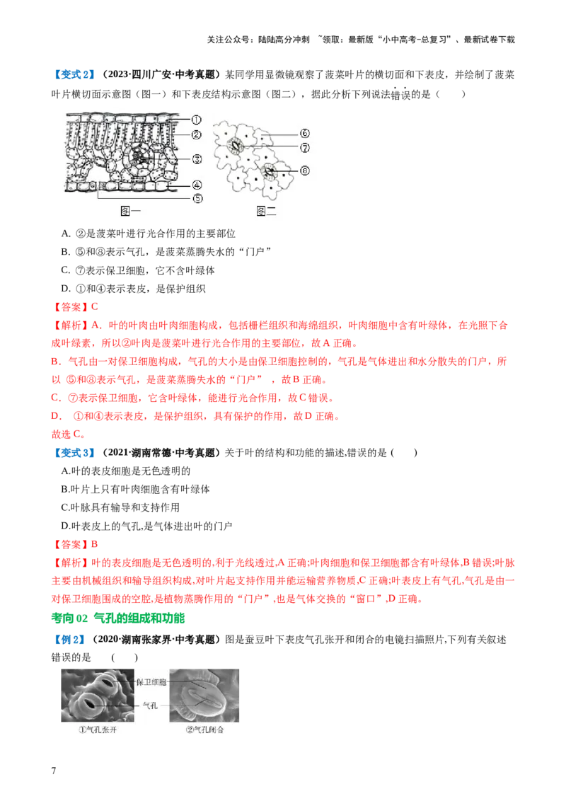 专题06绿色植物与生物圈的水循环（讲义）（解析版）_02中考总复习（2026版更新中）_08-生物-中考总复习_2024年中考复习资料_一轮复习_❤2024年中考生物一轮复习讲练测（全国通用）_讲义