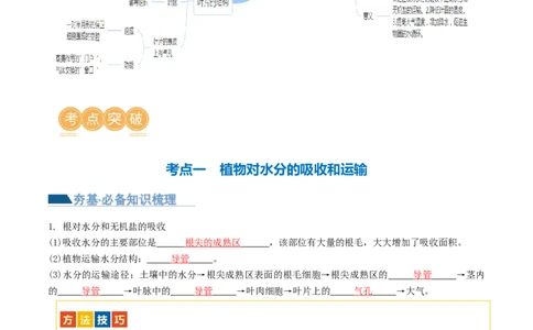 专题06绿色植物与生物圈的水循环（讲义）（解析版）_02中考总复习（2026版更新中）_08-生物-中考总复习_2024年中考复习资料_一轮复习_❤2024年中考生物一轮复习讲练测（全国通用）_讲义
