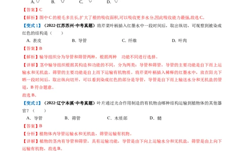 专题06绿色植物与生物圈的水循环（讲义）（解析版）_02中考总复习（2026版更新中）_08-生物-中考总复习_2024年中考复习资料_一轮复习_❤2024年中考生物一轮复习讲练测（全国通用）_讲义