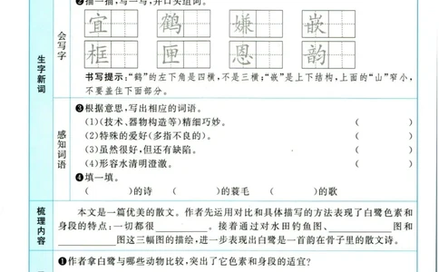 阳光同学五年级上册语文人教版预习单h_26春四年级上下册人教版_四上英语合集人教版PEP英语四年级上册新教材（教学视频+课件+动画+音频+练习+教案）_17练习资料_《预习卡》_1-6上册