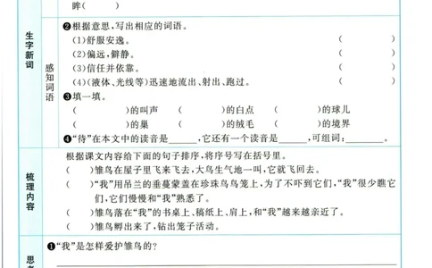 阳光同学五年级上册语文人教版预习单h_26春四年级上下册人教版_四上英语合集人教版PEP英语四年级上册新教材（教学视频+课件+动画+音频+练习+教案）_17练习资料_《预习卡》_1-6上册
