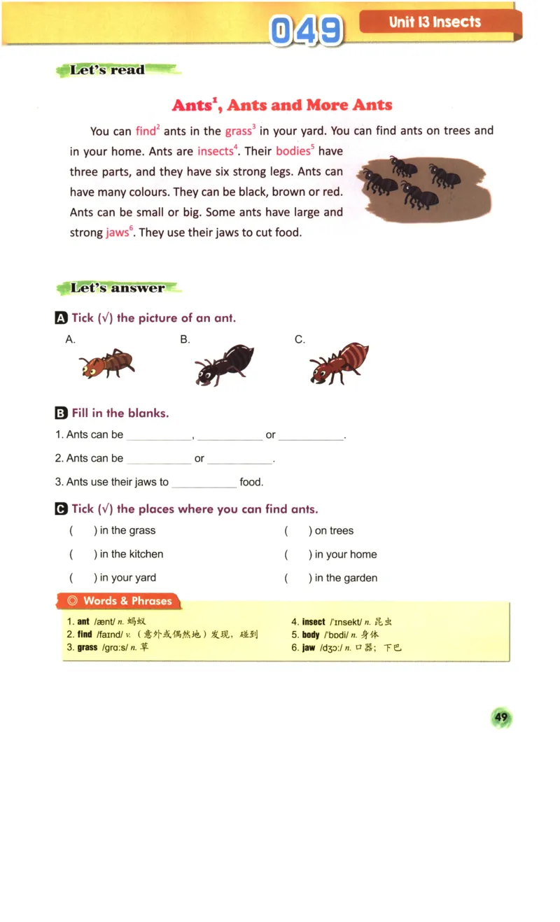 读霸小学英语3年级阅读128篇_26春四年级上下册人教版_四上英语合集人教版PEP英语四年级上册新教材（教学视频+课件+动画+音频+练习+教案）_17练习资料_《英语阅读128篇》