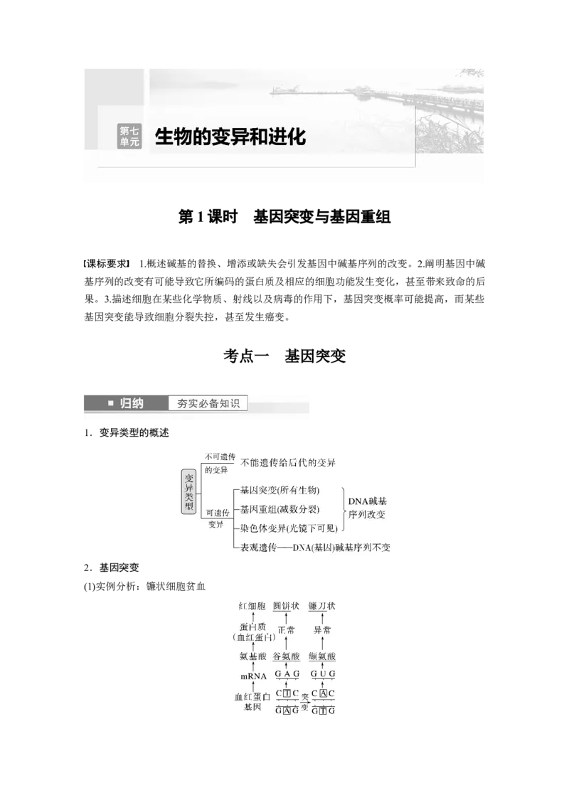 2024年高考生物一轮复习（新人教版）第7单元　第1课时　基因突变与基因重组_09高考生物_2024年新高考资料_1.2024一轮复习_2024年高考生物一轮复习讲义（新人教版）