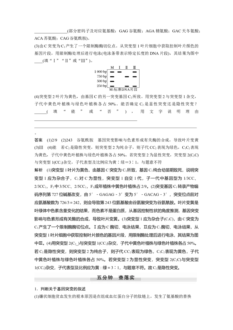 2024年高考生物一轮复习（新人教版）第7单元　第1课时　基因突变与基因重组_09高考生物_2024年新高考资料_1.2024一轮复习_2024年高考生物一轮复习讲义（新人教版）
