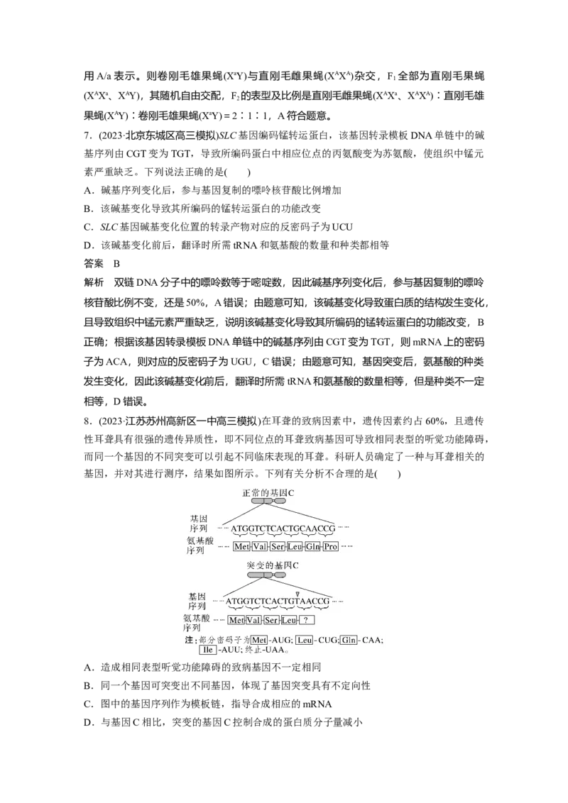 2024年高考生物一轮复习（新人教版）第7单元　第1课时　基因突变与基因重组_09高考生物_2024年新高考资料_1.2024一轮复习_2024年高考生物一轮复习讲义（新人教版）