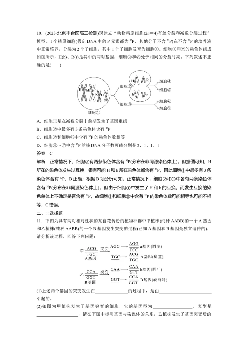 2024年高考生物一轮复习（新人教版）第7单元　第1课时　基因突变与基因重组_09高考生物_2024年新高考资料_1.2024一轮复习_2024年高考生物一轮复习讲义（新人教版）
