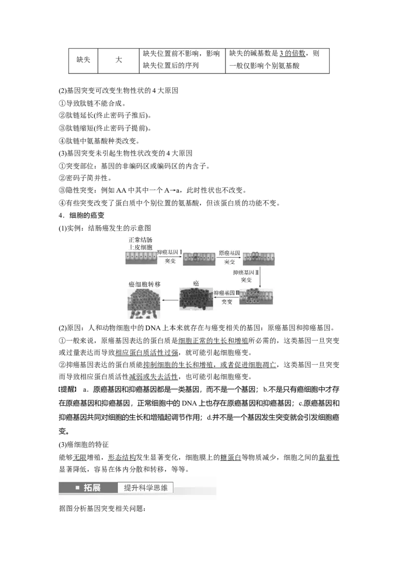 2024年高考生物一轮复习（新人教版）第7单元　第1课时　基因突变与基因重组_09高考生物_2024年新高考资料_1.2024一轮复习_2024年高考生物一轮复习讲义（新人教版）