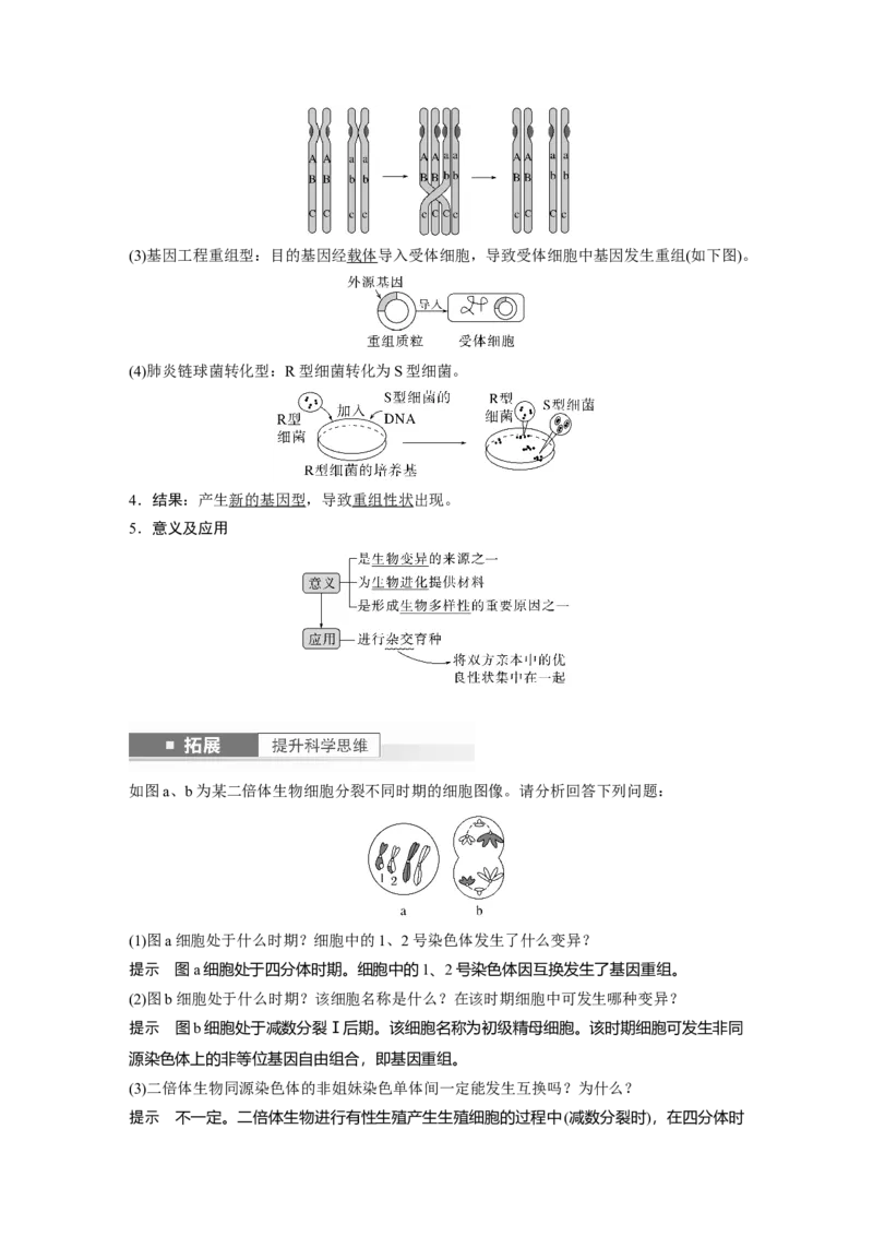 2024年高考生物一轮复习（新人教版）第7单元　第1课时　基因突变与基因重组_09高考生物_2024年新高考资料_1.2024一轮复习_2024年高考生物一轮复习讲义（新人教版）