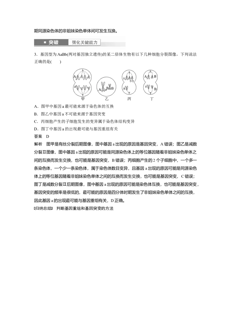 2024年高考生物一轮复习（新人教版）第7单元　第1课时　基因突变与基因重组_09高考生物_2024年新高考资料_1.2024一轮复习_2024年高考生物一轮复习讲义（新人教版）