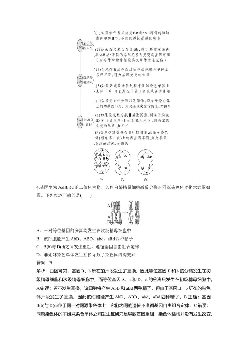 2024年高考生物一轮复习（新人教版）第7单元　第1课时　基因突变与基因重组_09高考生物_2024年新高考资料_1.2024一轮复习_2024年高考生物一轮复习讲义（新人教版）