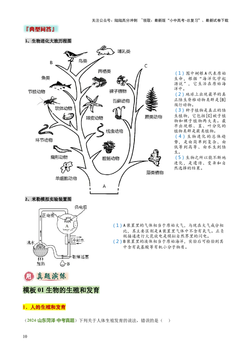 专题06生物的生殖发育、遗传和进化（3大答题模板）（解析版）_02中考总复习（2026版更新中）_08-生物-中考总复习_2025中考复习资料_2025年中考生物答题方法模板