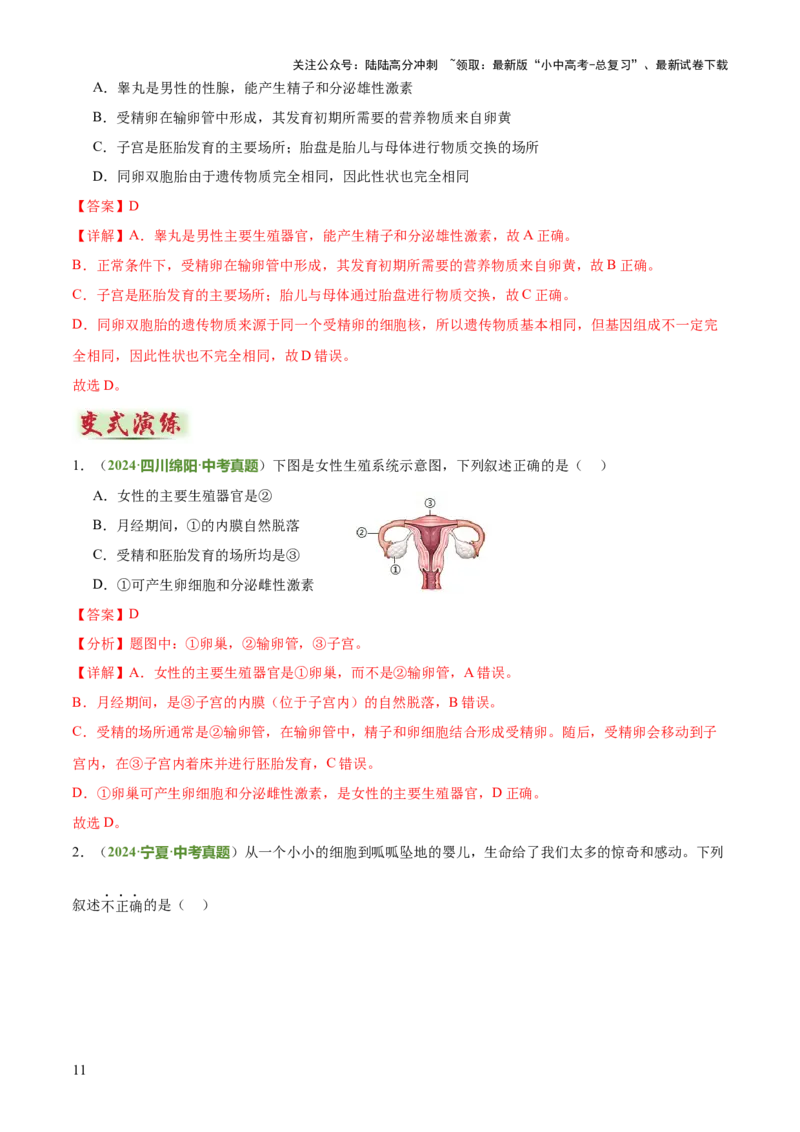 专题06生物的生殖发育、遗传和进化（3大答题模板）（解析版）_02中考总复习（2026版更新中）_08-生物-中考总复习_2025中考复习资料_2025年中考生物答题方法模板