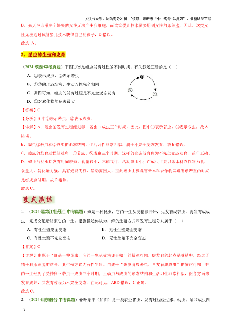 专题06生物的生殖发育、遗传和进化（3大答题模板）（解析版）_02中考总复习（2026版更新中）_08-生物-中考总复习_2025中考复习资料_2025年中考生物答题方法模板