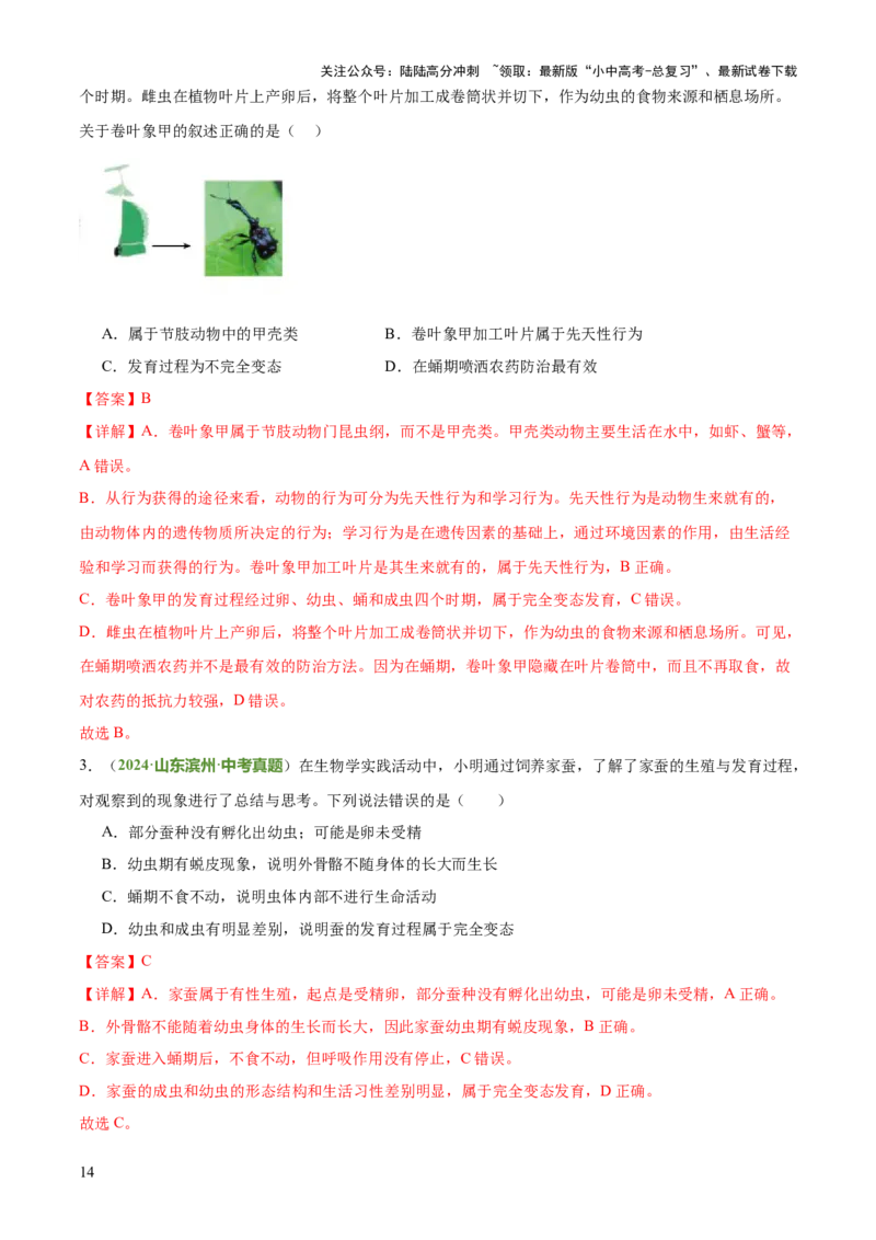 专题06生物的生殖发育、遗传和进化（3大答题模板）（解析版）_02中考总复习（2026版更新中）_08-生物-中考总复习_2025中考复习资料_2025年中考生物答题方法模板