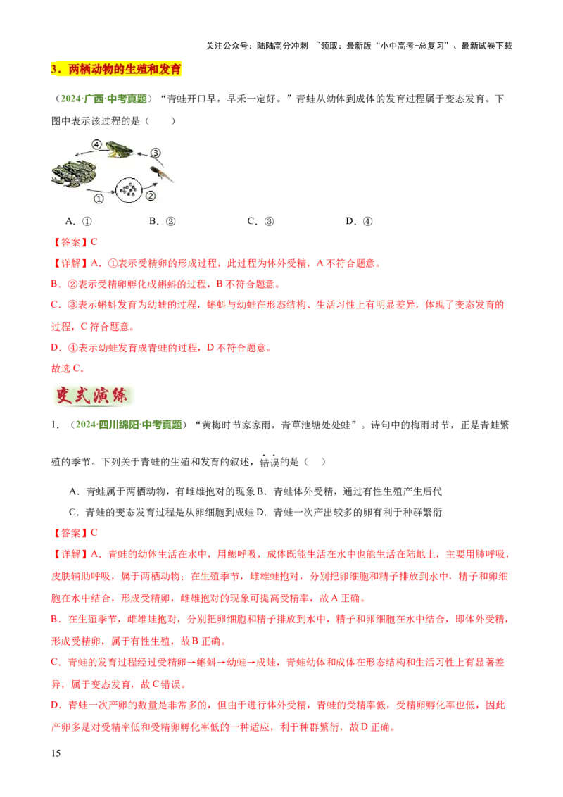 专题06生物的生殖发育、遗传和进化（3大答题模板）（解析版）_02中考总复习（2026版更新中）_08-生物-中考总复习_2025中考复习资料_2025年中考生物答题方法模板