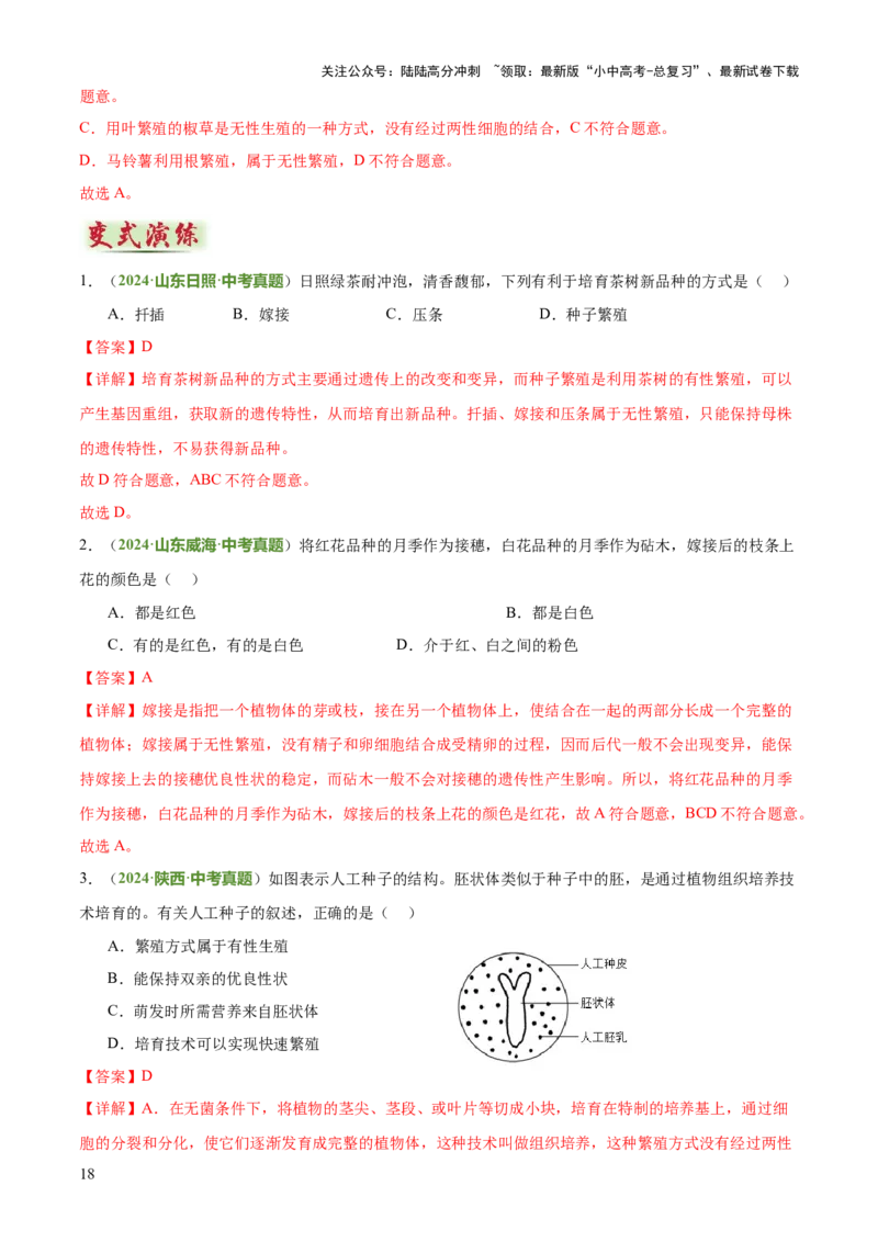 专题06生物的生殖发育、遗传和进化（3大答题模板）（解析版）_02中考总复习（2026版更新中）_08-生物-中考总复习_2025中考复习资料_2025年中考生物答题方法模板