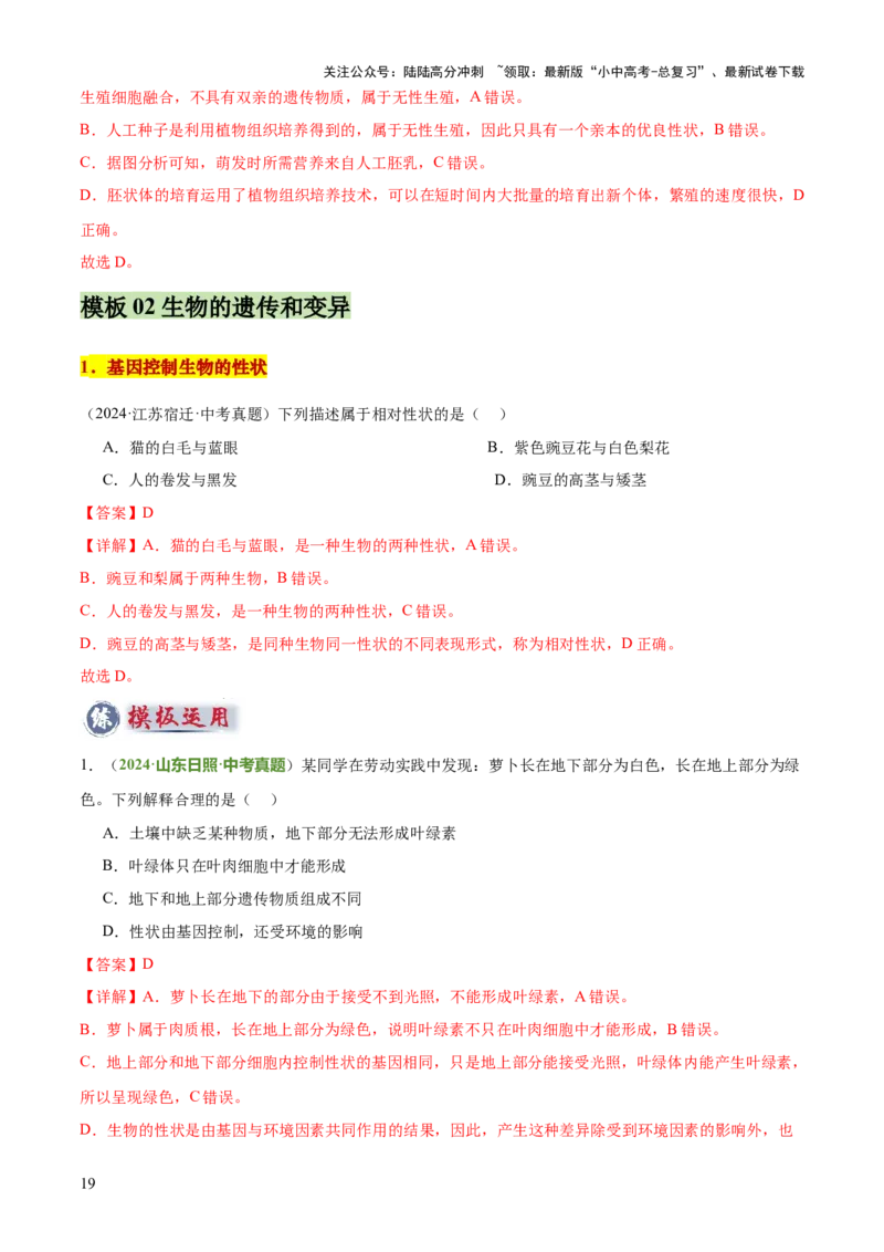 专题06生物的生殖发育、遗传和进化（3大答题模板）（解析版）_02中考总复习（2026版更新中）_08-生物-中考总复习_2025中考复习资料_2025年中考生物答题方法模板