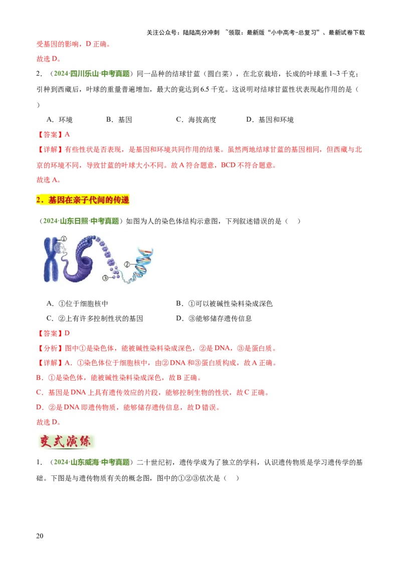 专题06生物的生殖发育、遗传和进化（3大答题模板）（解析版）_02中考总复习（2026版更新中）_08-生物-中考总复习_2025中考复习资料_2025年中考生物答题方法模板