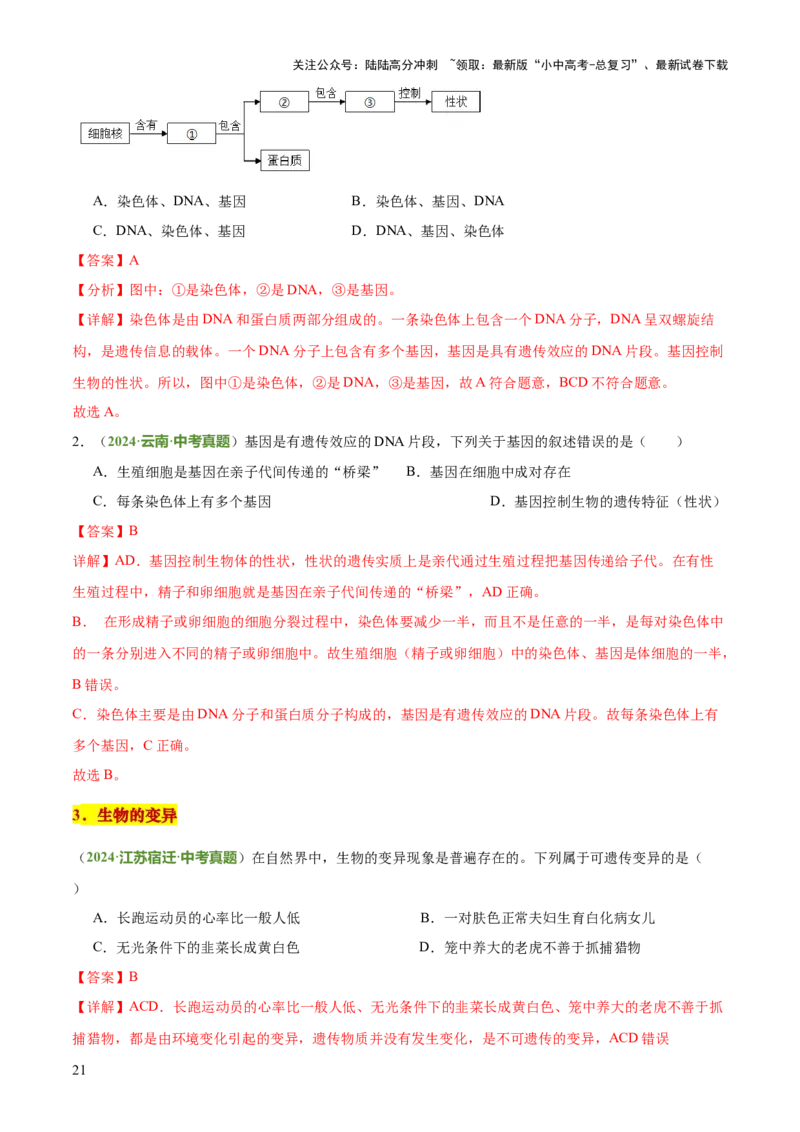 专题06生物的生殖发育、遗传和进化（3大答题模板）（解析版）_02中考总复习（2026版更新中）_08-生物-中考总复习_2025中考复习资料_2025年中考生物答题方法模板