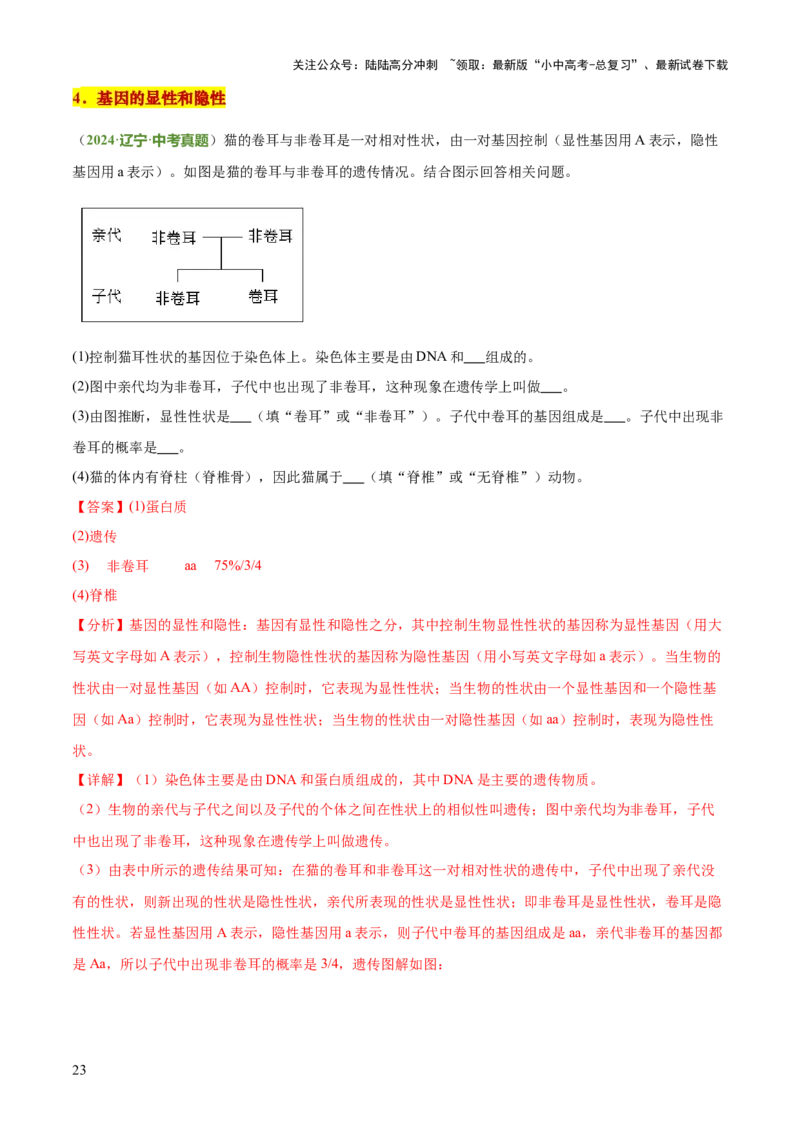 专题06生物的生殖发育、遗传和进化（3大答题模板）（解析版）_02中考总复习（2026版更新中）_08-生物-中考总复习_2025中考复习资料_2025年中考生物答题方法模板