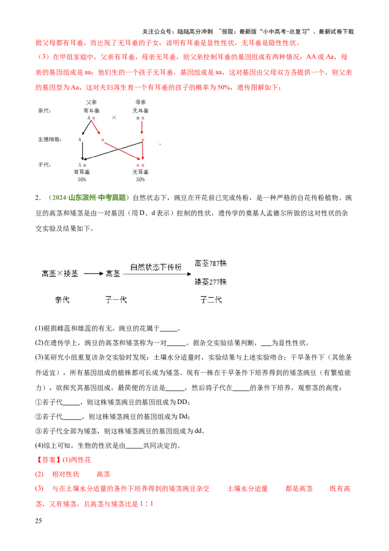 专题06生物的生殖发育、遗传和进化（3大答题模板）（解析版）_02中考总复习（2026版更新中）_08-生物-中考总复习_2025中考复习资料_2025年中考生物答题方法模板