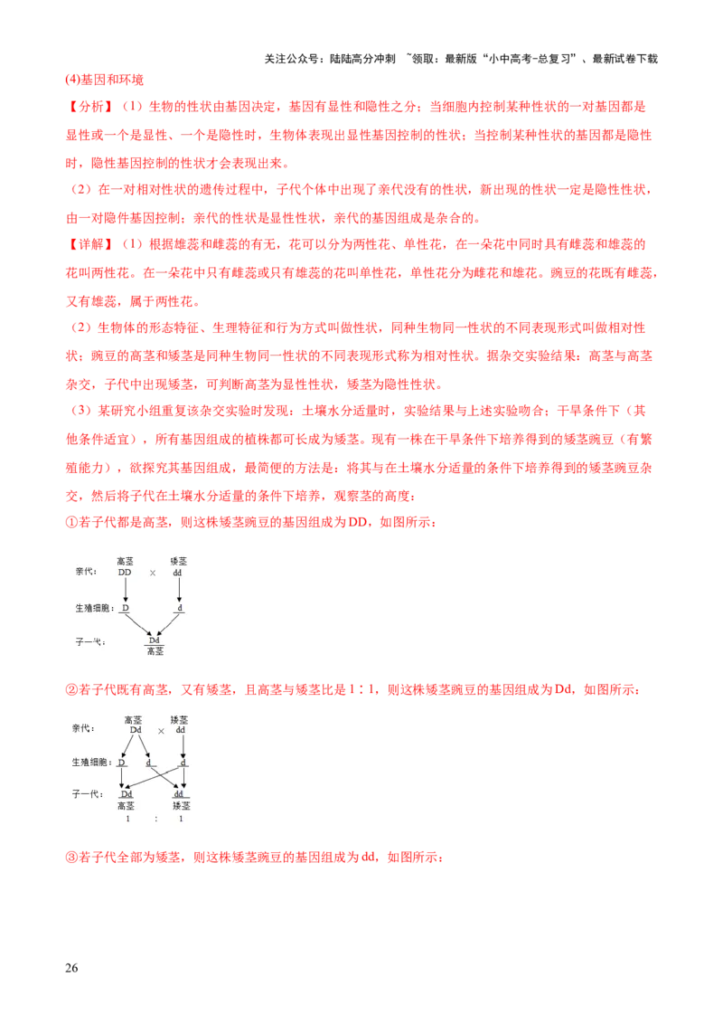 专题06生物的生殖发育、遗传和进化（3大答题模板）（解析版）_02中考总复习（2026版更新中）_08-生物-中考总复习_2025中考复习资料_2025年中考生物答题方法模板