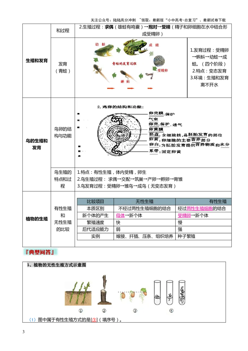 专题06生物的生殖发育、遗传和进化（3大答题模板）（解析版）_02中考总复习（2026版更新中）_08-生物-中考总复习_2025中考复习资料_2025年中考生物答题方法模板