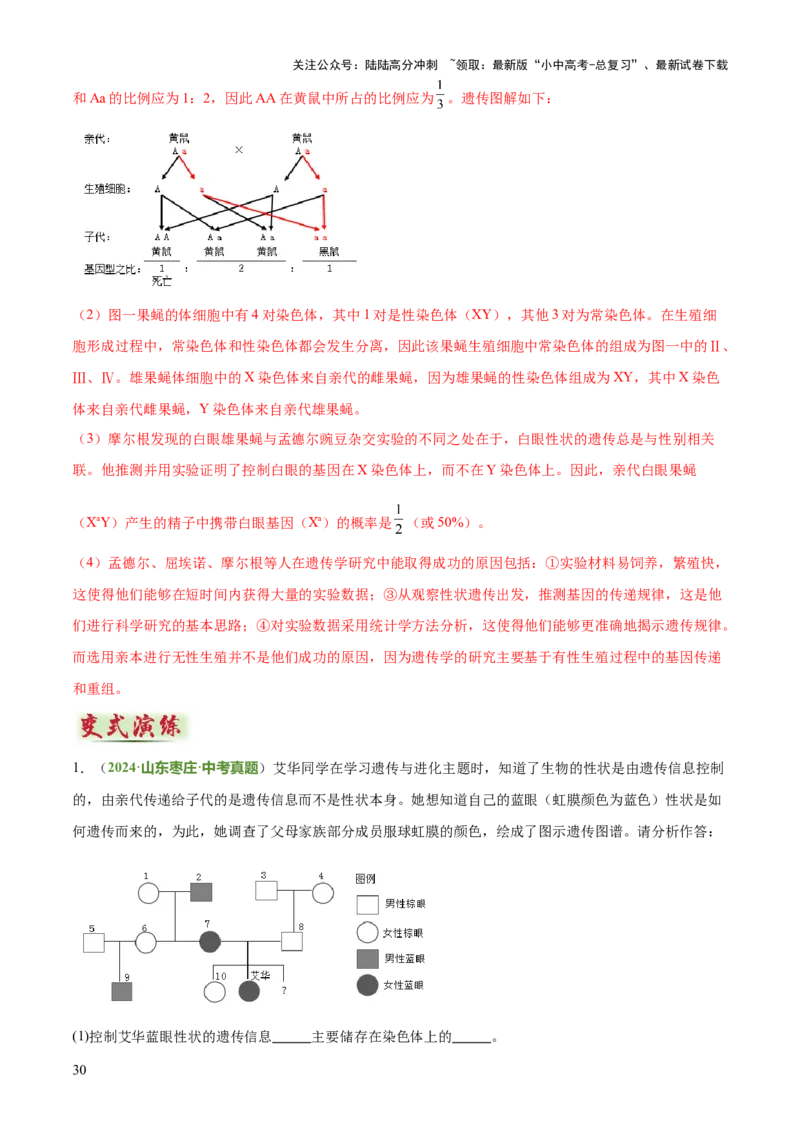 专题06生物的生殖发育、遗传和进化（3大答题模板）（解析版）_02中考总复习（2026版更新中）_08-生物-中考总复习_2025中考复习资料_2025年中考生物答题方法模板