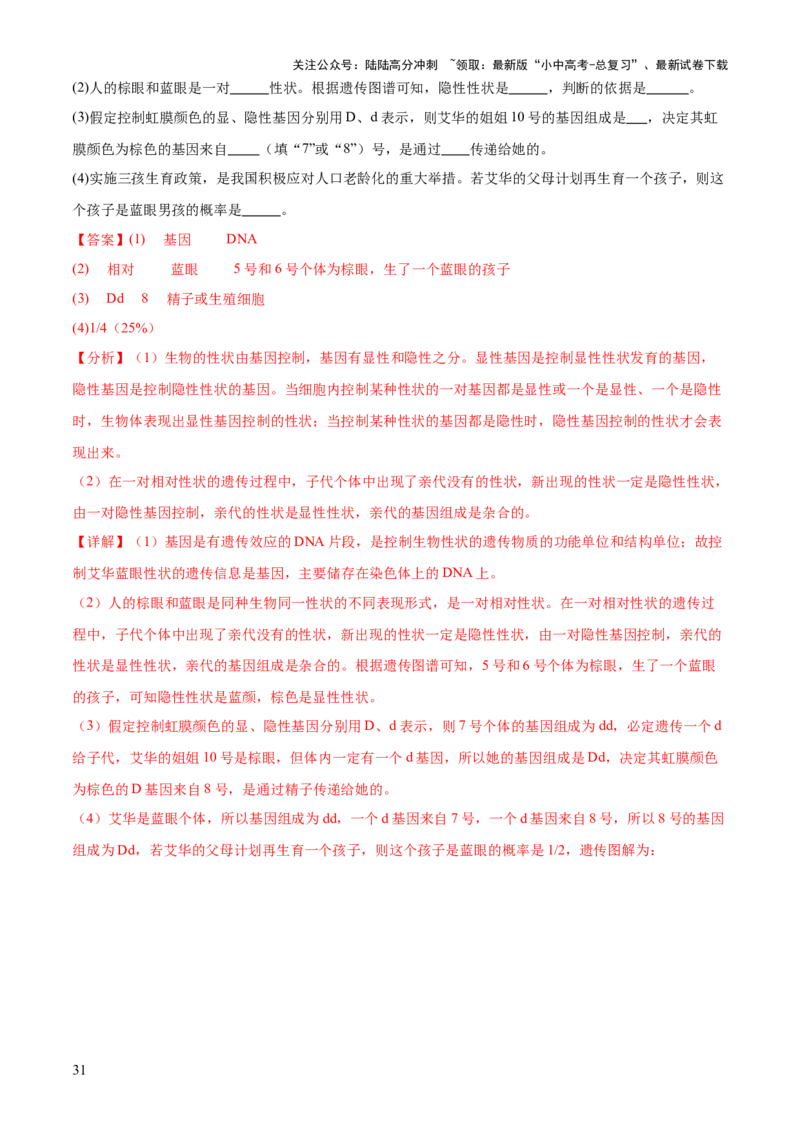 专题06生物的生殖发育、遗传和进化（3大答题模板）（解析版）_02中考总复习（2026版更新中）_08-生物-中考总复习_2025中考复习资料_2025年中考生物答题方法模板