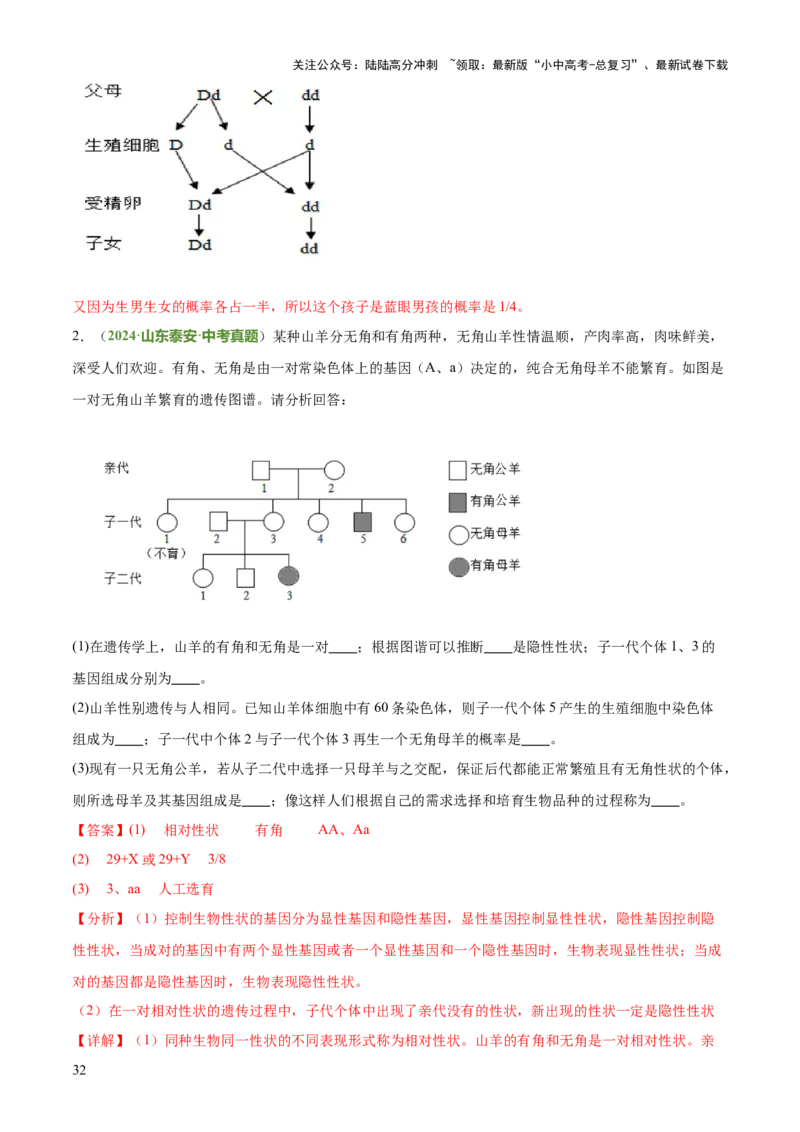 专题06生物的生殖发育、遗传和进化（3大答题模板）（解析版）_02中考总复习（2026版更新中）_08-生物-中考总复习_2025中考复习资料_2025年中考生物答题方法模板