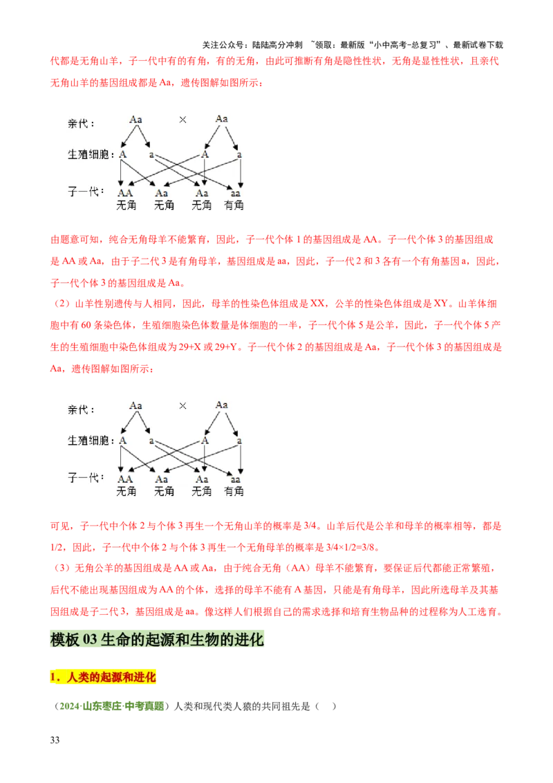 专题06生物的生殖发育、遗传和进化（3大答题模板）（解析版）_02中考总复习（2026版更新中）_08-生物-中考总复习_2025中考复习资料_2025年中考生物答题方法模板