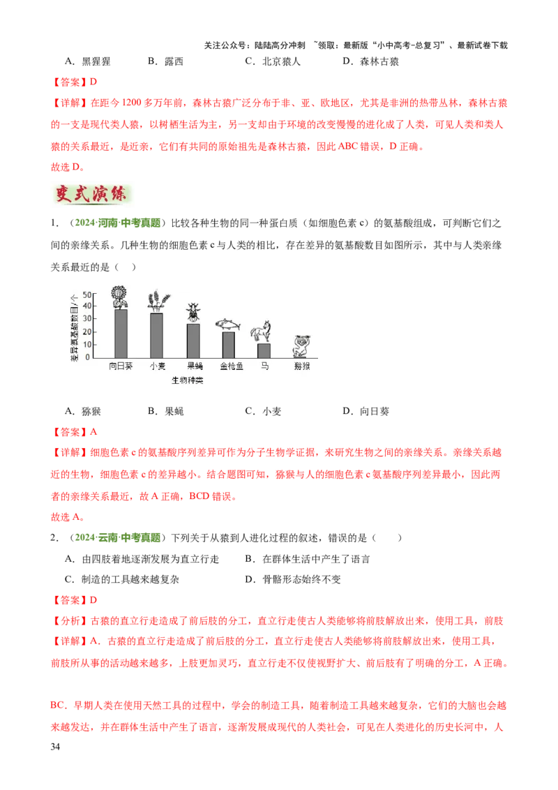 专题06生物的生殖发育、遗传和进化（3大答题模板）（解析版）_02中考总复习（2026版更新中）_08-生物-中考总复习_2025中考复习资料_2025年中考生物答题方法模板